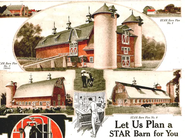 Refusing mRNA Vaccines Remains a Firm Decision for One Cattle Farmer