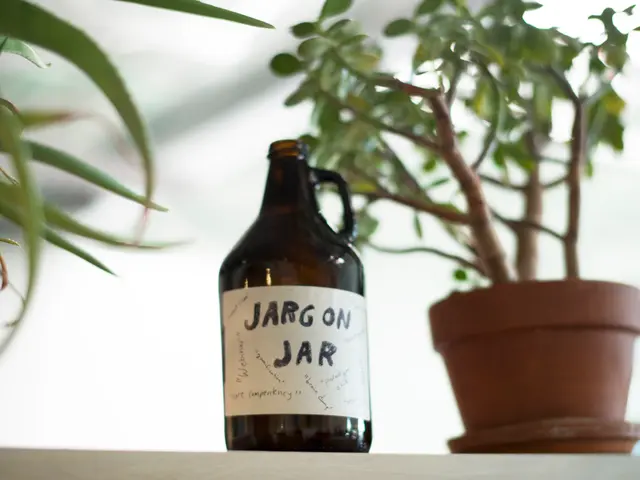 Vegan Skincare Explained: Essential Information on Cosmetics without Animal-Derived Ingredients