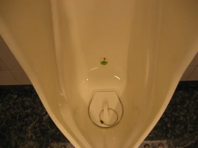 High-tech urinals in China provide immediate health assessments