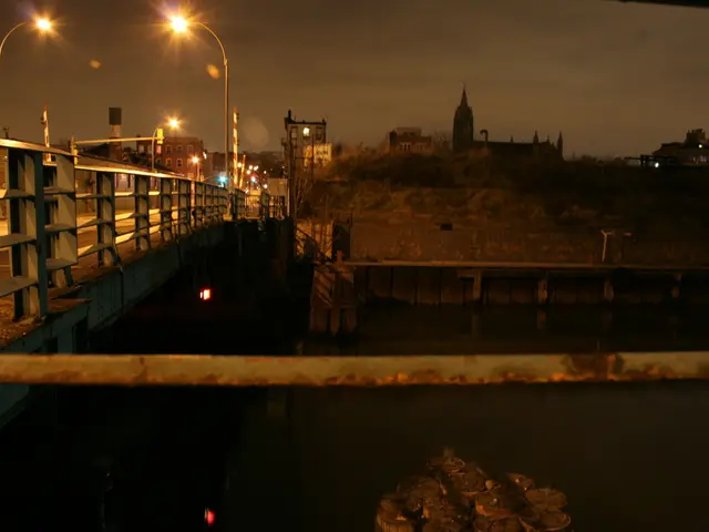 Rhine river swimming banned by city council due to potential danger