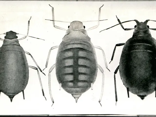 Feline Defense Tactic Shares Similarities with Serpentine Reflexes