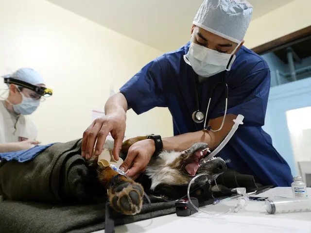 Myntra and Wildcraft collaborate in offering protective face masks tailored for individuals