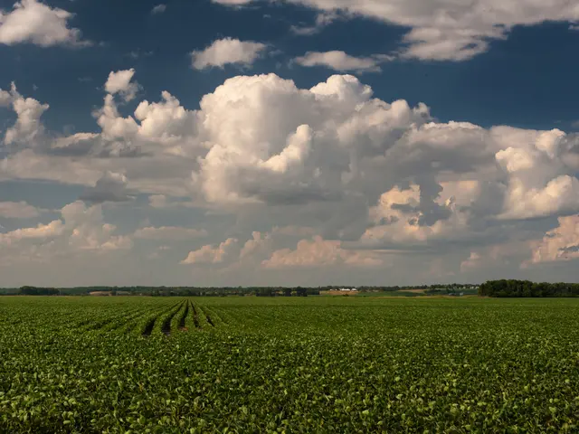 Green vertical structures serve as a stress-reducing agent, according to a study conducted by NTU...