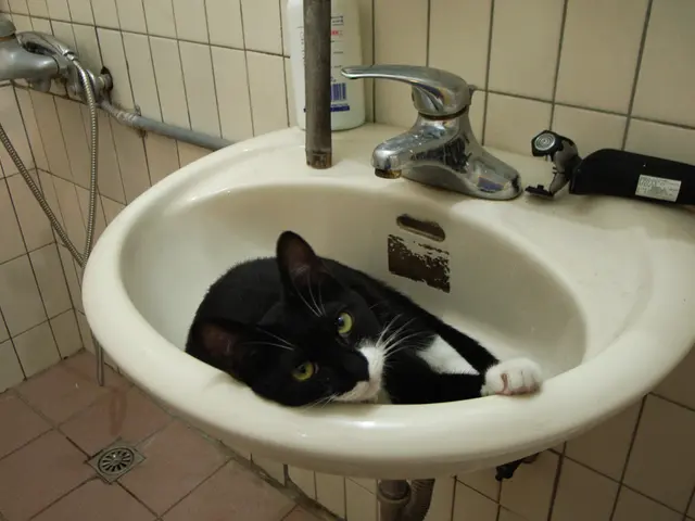 Russian scientists in Tomsk will supply the nation's microelectronics industry with sodium...