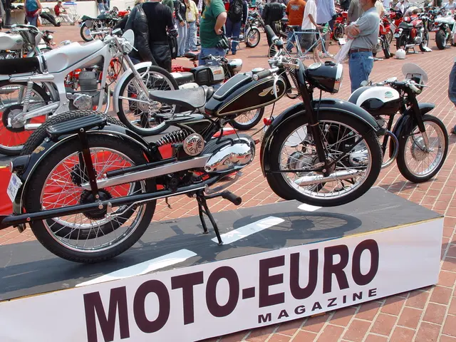 Increased Speed in Old Age: E-Bike Training Program in the Odenwald Forest