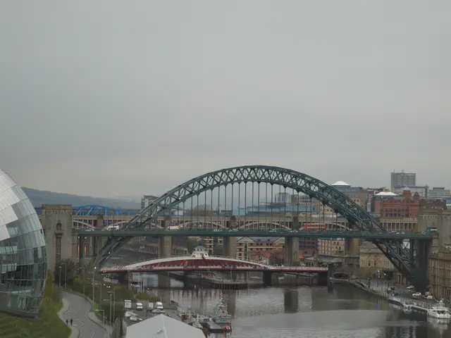 Impact of a Government Downtime on the Public