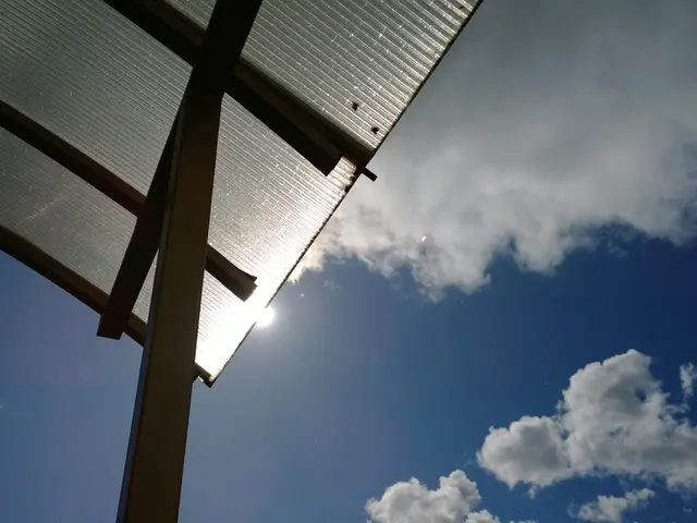 Cancer Types, Underlying Causes, Preventive Measures, and Additional Information