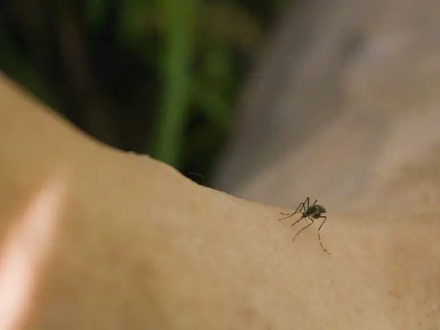 In this picture there is a mosquito which is standing on the person's hand. On the top left i can...