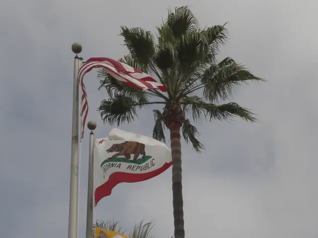 In this picture I can see couple of trees and couple of flag poles with three flags and a cloudy...