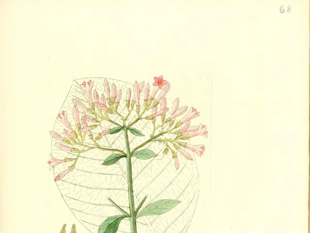 This is a sketch on a paper. In this picture we can see a stem, flowers, leaves and text.