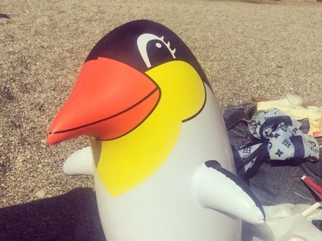 It looks like a ground and on the ground there is an inflatable tube, clothes, a polyethylene cover...