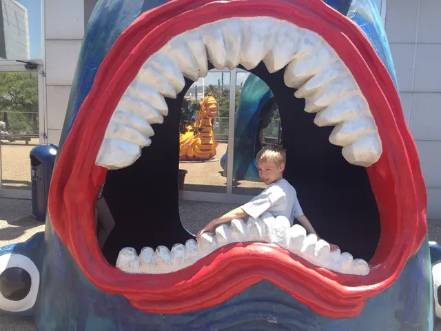 In this image there is a kid with a smile on his face is posing for the camera from the open mouth...