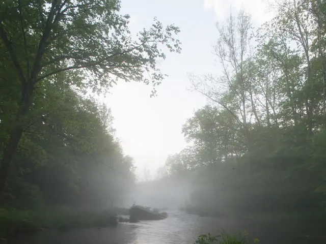 In this picture there is water at the bottom side of the image and there is greenery in the...
