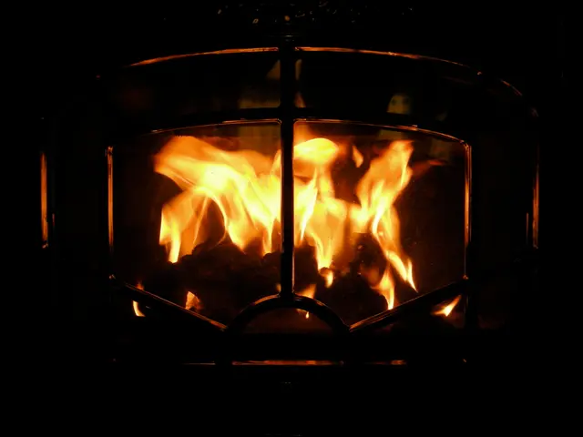 In this image there is a fire in the firewood chimney.