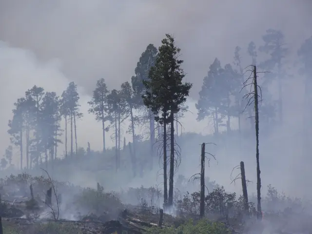This picture is clicked outside the city. In the foreground we can see the green grass and the...