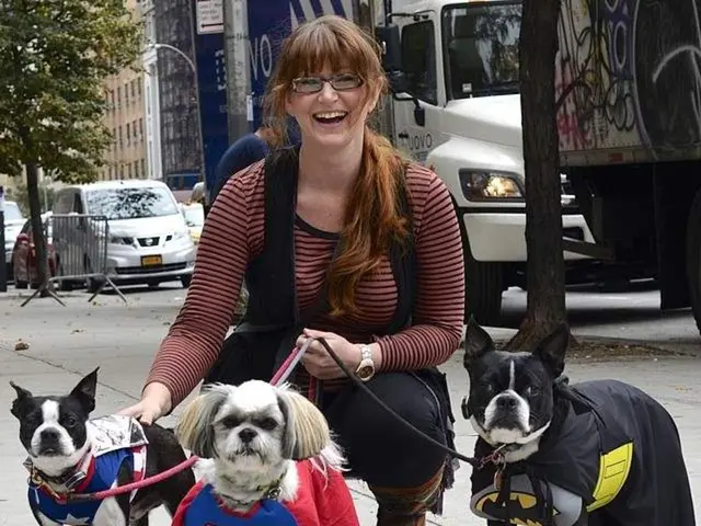 In this picture a lady is holding three dogs which are dressed as superheroes. The picture is...