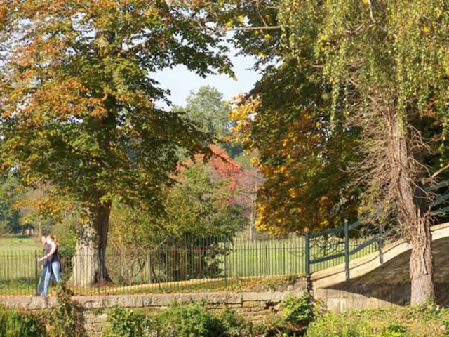 This image consists of a park with a lot of trees and plants and fencing all around where two...