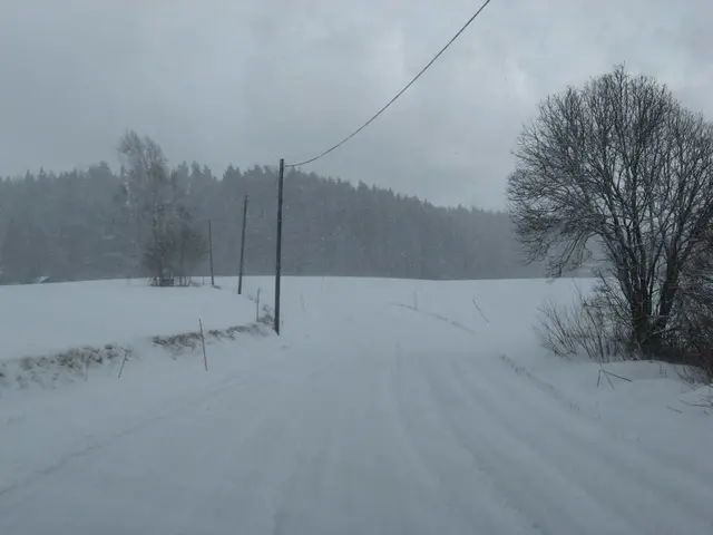 In this picture there are few poles on the snow and there is a tree in the right corner and there...