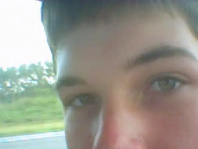 This is the man. I think he is inside the vehicle. This looks like a window. I can see the trees...