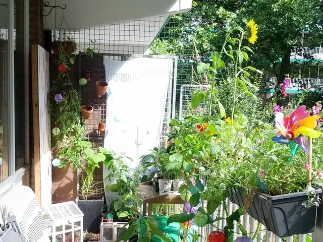 in this image the house has many things like trees,flower vase and flowers some stools some tables...