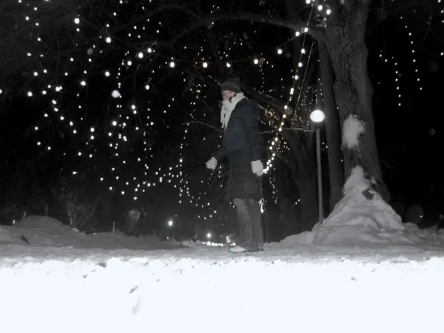 In the foreground there is snow. In the center of the picture there is a person walking. In the...