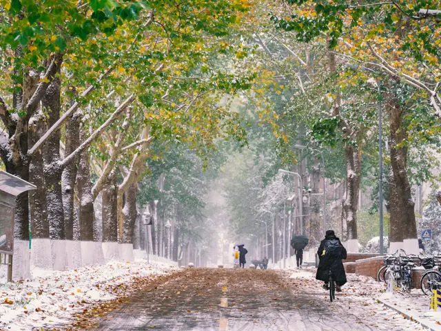 The image shows people walking down a snowy street with umbrellas, surrounded by trees covered in a...