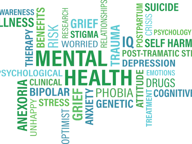 The image shows a mental health word cloud on a white background. The words are arranged in a...