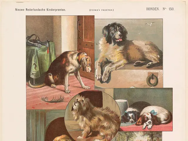 The image shows a page from a book with a variety of dogs on it. The page is filled with pictures...