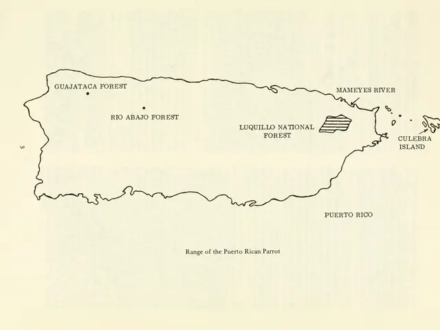 The image shows a map of Puerto Rico with text written on it. The map is detailed and shows the...