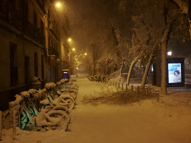 The image shows a snowy street at night with bicycles parked on the side of it. There are trees,...