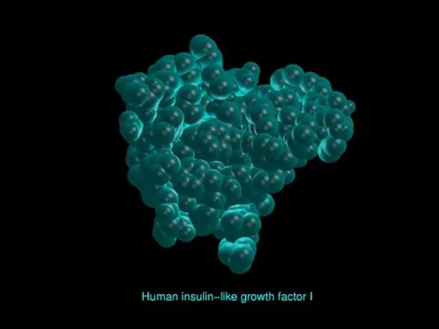 The image shows a blue object with the words "human insulin-like growth factor i" written on it...