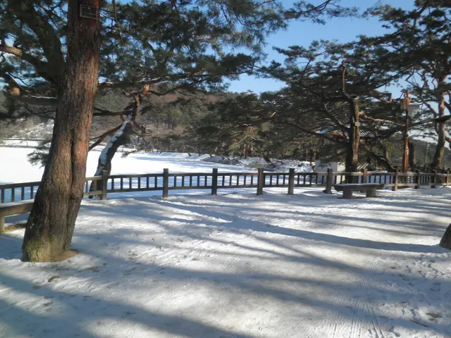 The image shows a snow covered park with trees and benches in the foreground, a fence in the...