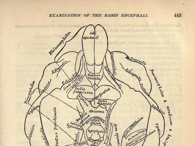 The image shows an old book with a diagram of the human body on it. The paper has text written on...