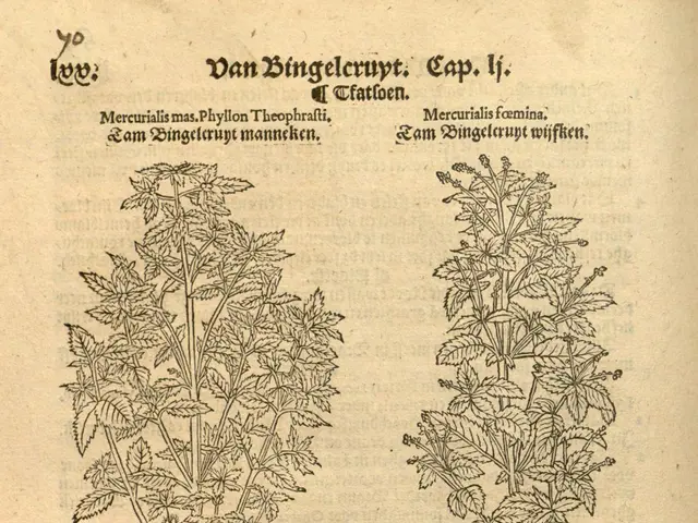 The image shows an open book with a drawing of a plant on it, which is believed to be a medicinal...