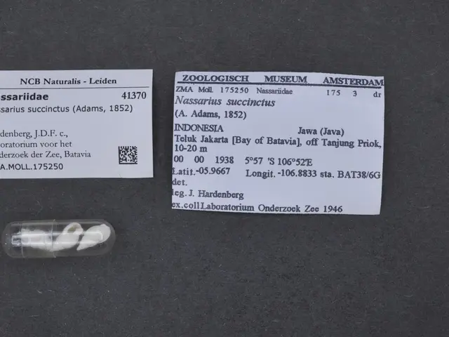 The image shows a small white pill sitting on top of a black table next to a piece of paper with...