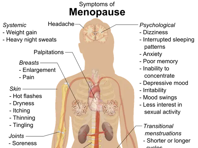The image shows a diagram of the human body with labels of the various symptoms of menopause, such...