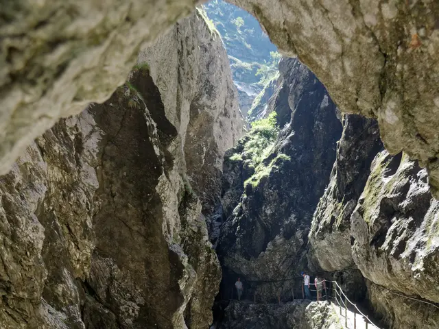 The image shows a small waterfall cascading down a rocky gorge, with a rope bridge crossing over...