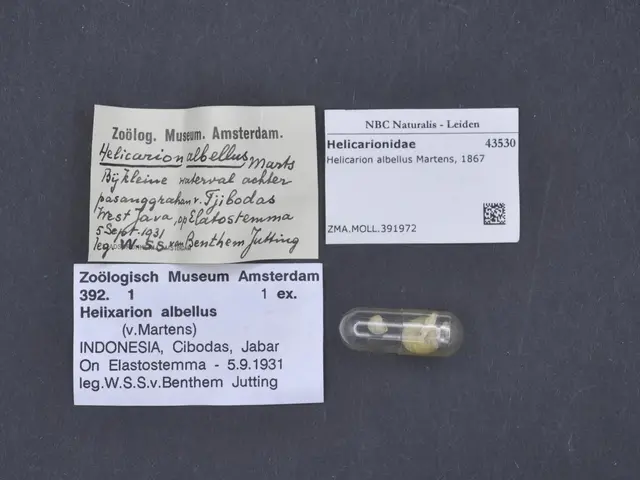 The image shows a small pill sitting on top of a table next to a piece of paper with text on it....