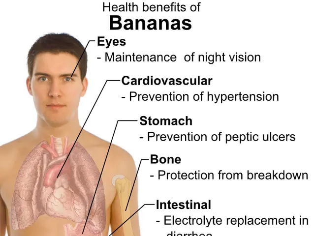 The image shows a person with a diagram of the human body on the left side and text on the right...