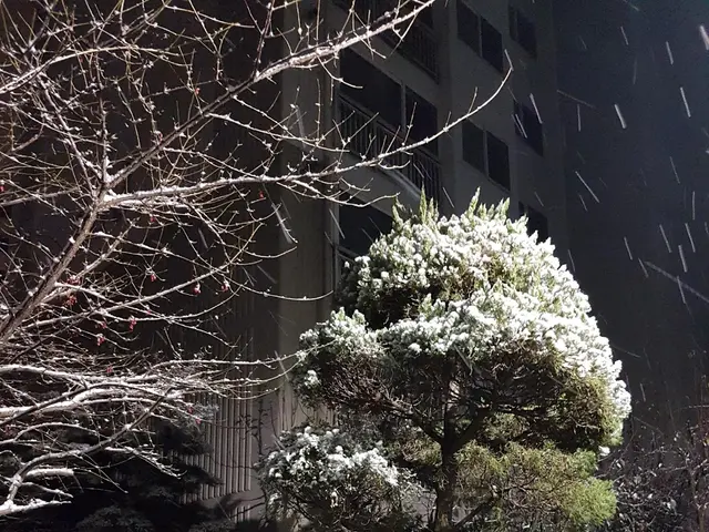 The image shows a bench sitting in the middle of a snowy park at night, surrounded by trees and...