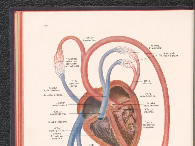 The image shows an open book with a diagram of the human heart on it. The heart is depicted in the...