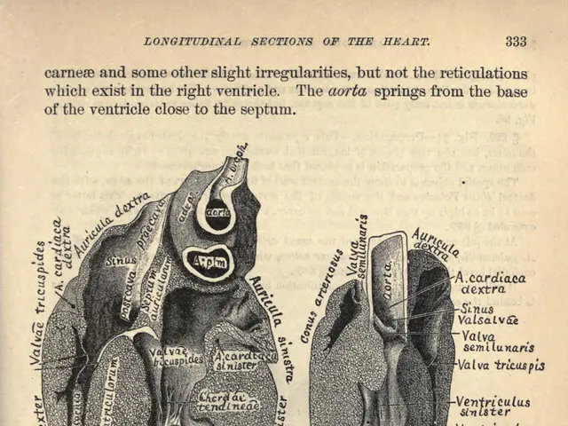 The image shows an old book with a drawing of a heart on it. The paper has pictures and text on it,...