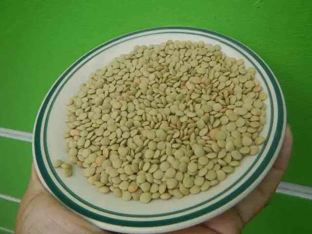 The image shows a person holding a plate of green lentils in their hand against a green wall. The...