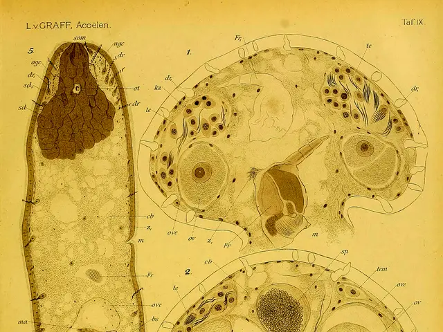 The image shows a page from a book with a drawing of a plant cell on it. The page contains detailed...