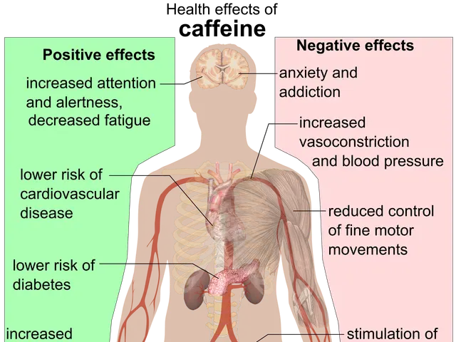 The image shows a diagram of a human body with the words "Health Effects of Caffeine" written on...