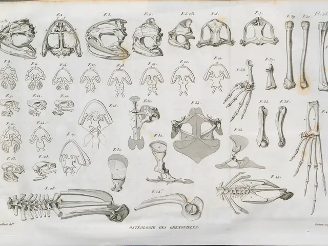 The image shows an old book with a variety of bones and skulls on it. The book is open, revealing...