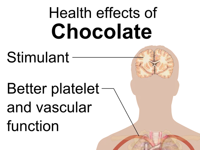 The image shows a diagram of a human body with text on the left side that reads "Health Effects of...