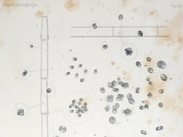 The image shows a page from a book with a drawing of a microscope and a bunch of different types of...