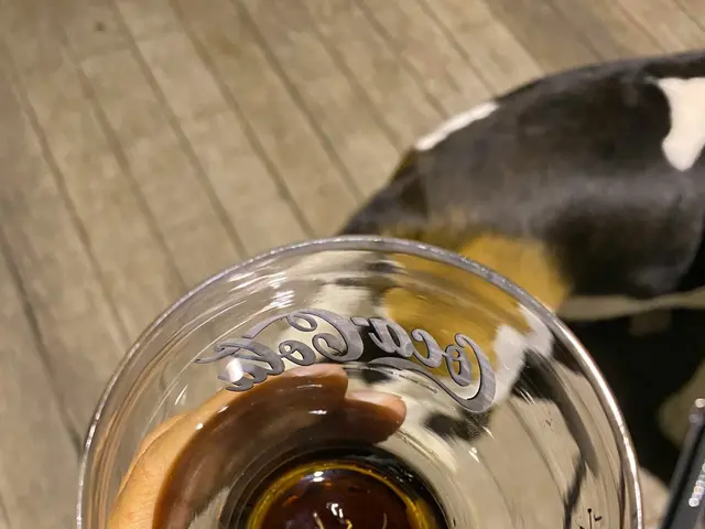 The image shows a person holding a glass of coca cola in their hand, with a dog lying on the floor...