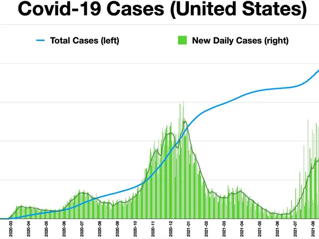 The image shows a graph depicting the number of Covid-19 cases in the United States. The graph is...